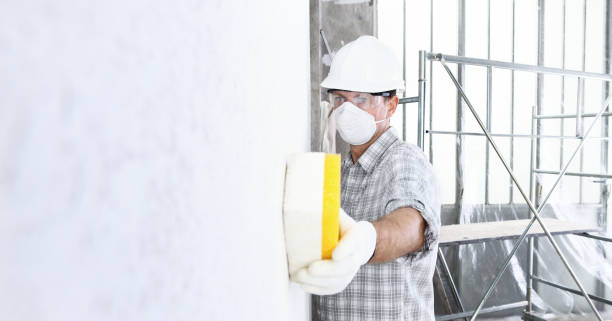 Best Post-Construction Mold Inspection in Lindenwold, NJ