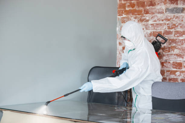 Best Environmental Consulting for Mold Prevention in Lindenwold, NJ