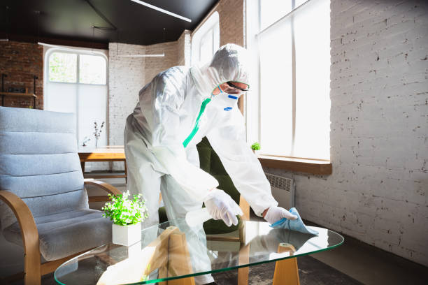 Reliable Lindenwold, NJ Mold Removal Solutions