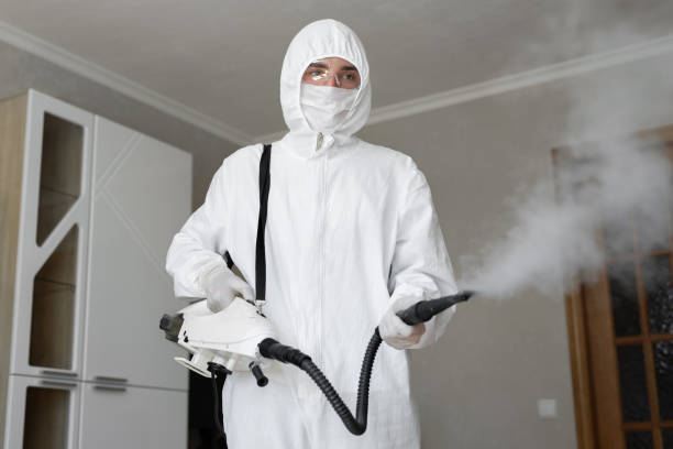 Best Air Quality Testing for Mold Spores in Lindenwold, NJ